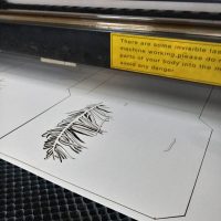 42734744_1956294074661824_5963932591554822144_n