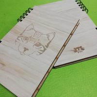 67160433_2123296904628206_7289624906604478464_n